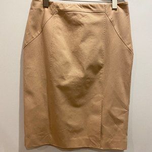 Banana Republic Pencil Skirt